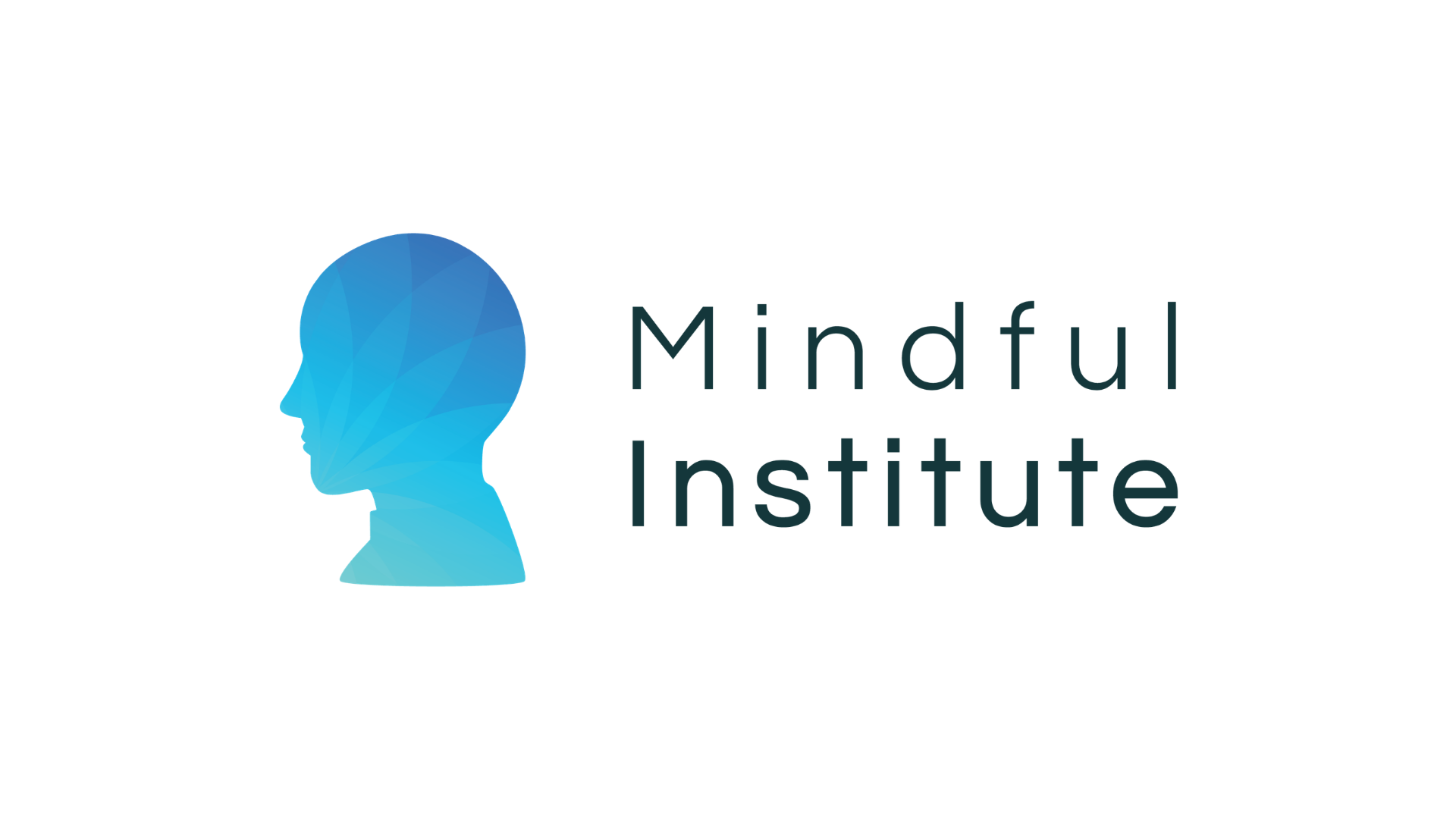 Mindful Institute