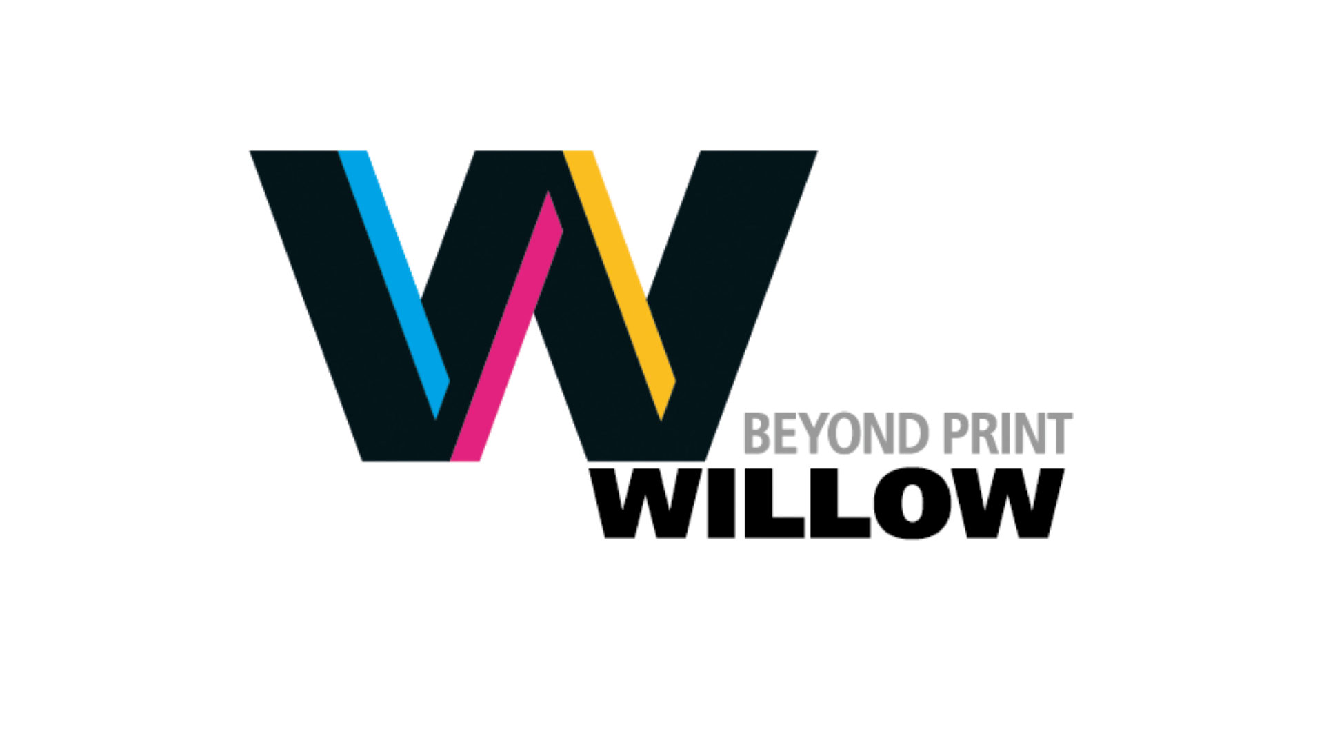 beyond willow print